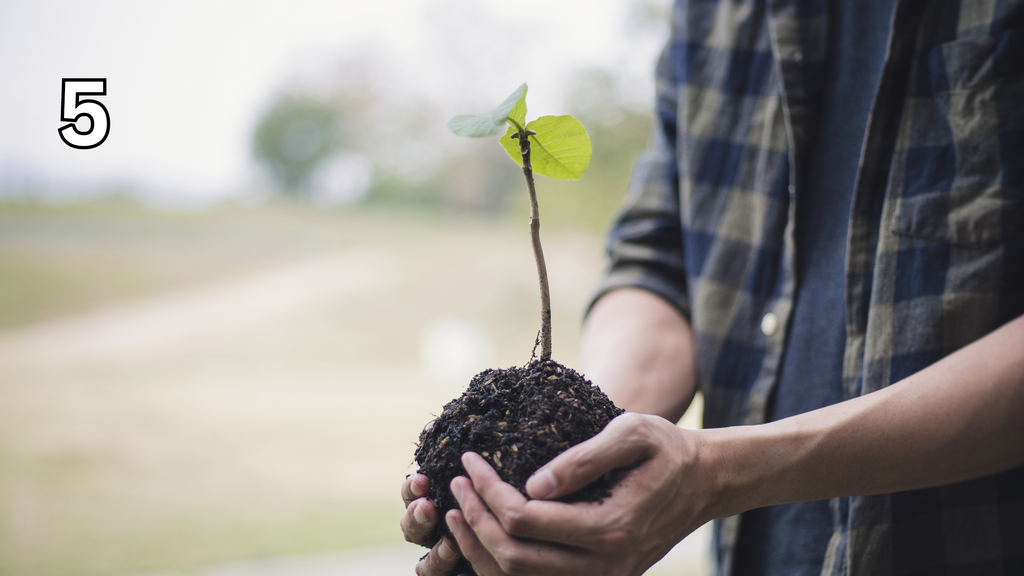 Plant 5 Trees || Plantez 5 arbres