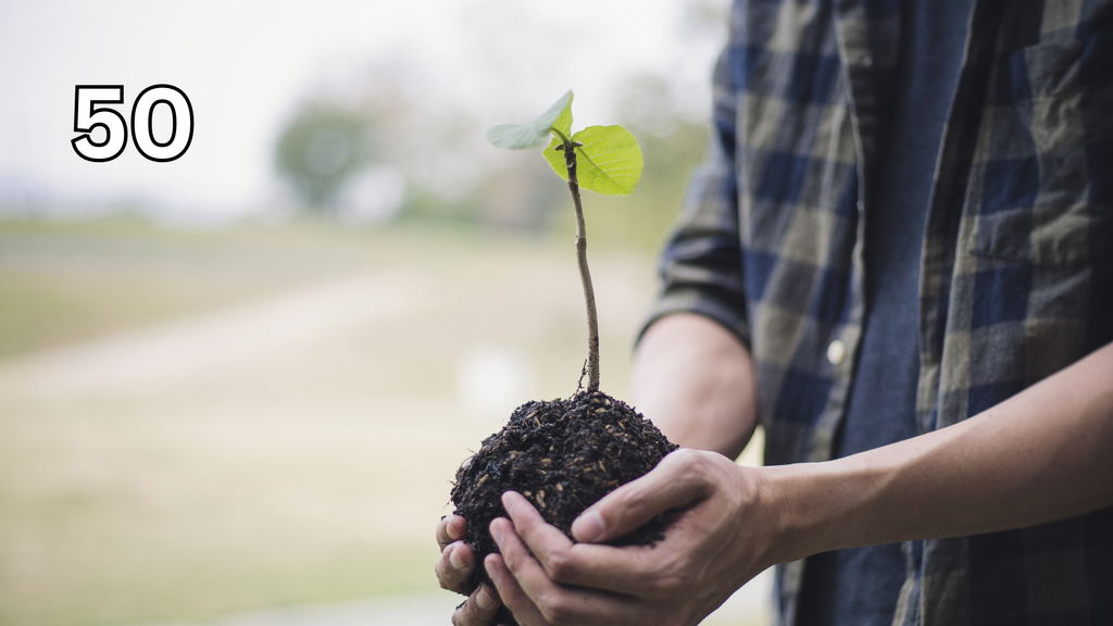 Plant 50 Trees || Plantez 50 arbres